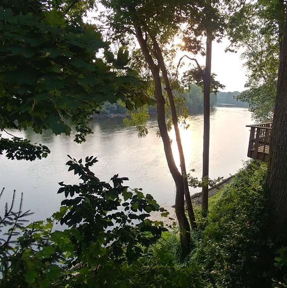 Kelly - Picture 5 of 11